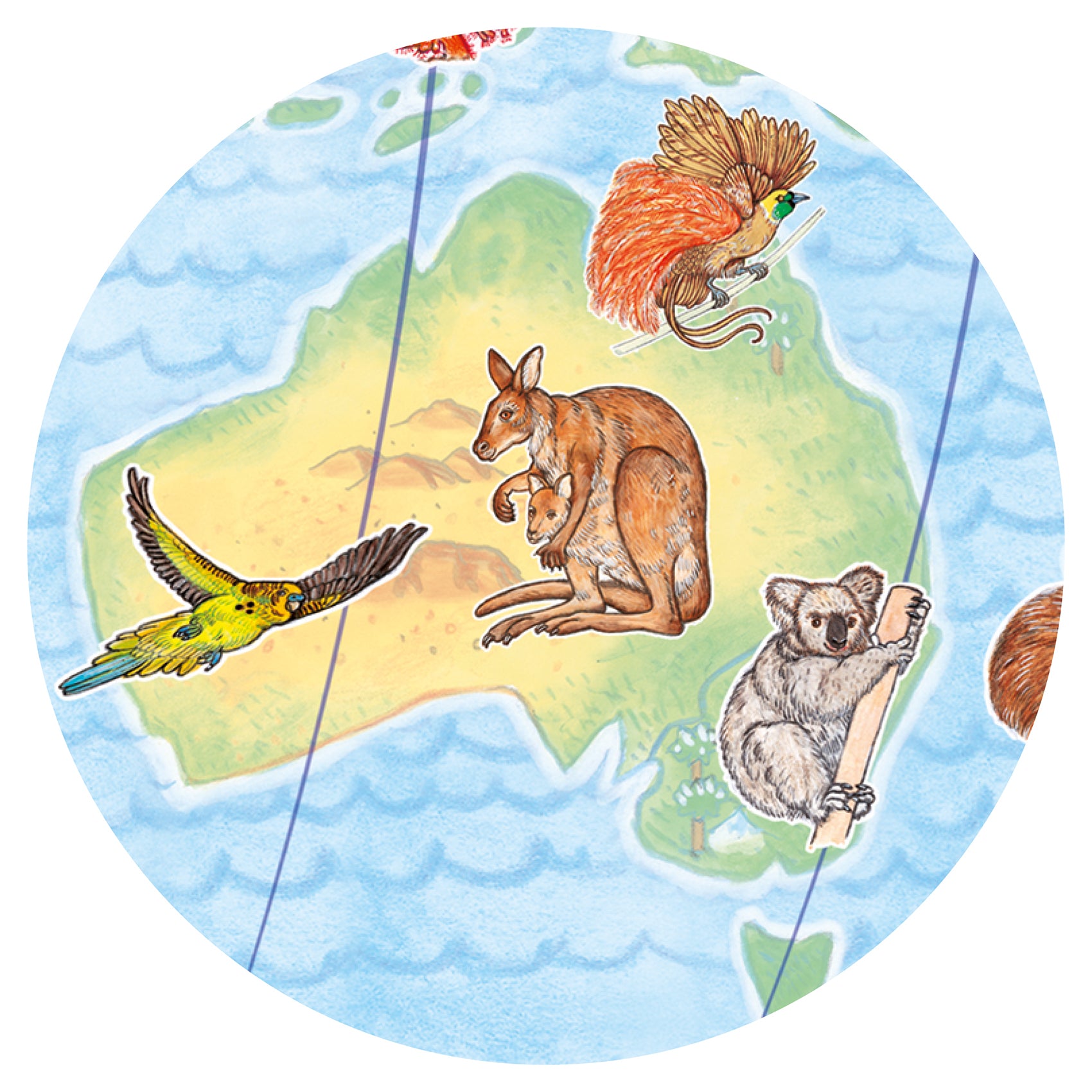Djeco Puzzle Observation - World's animals + booklet