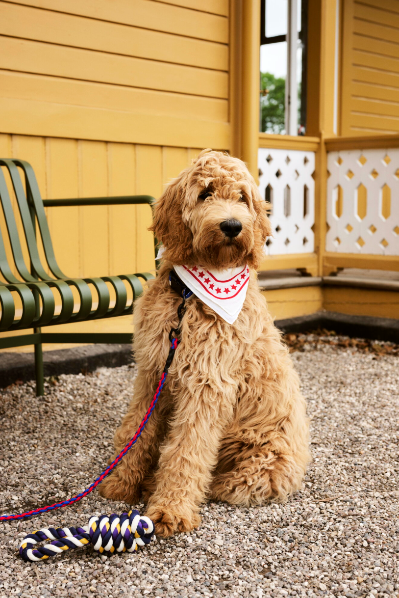 HAY Dogs scarf, 55 x 55 cm, off-white