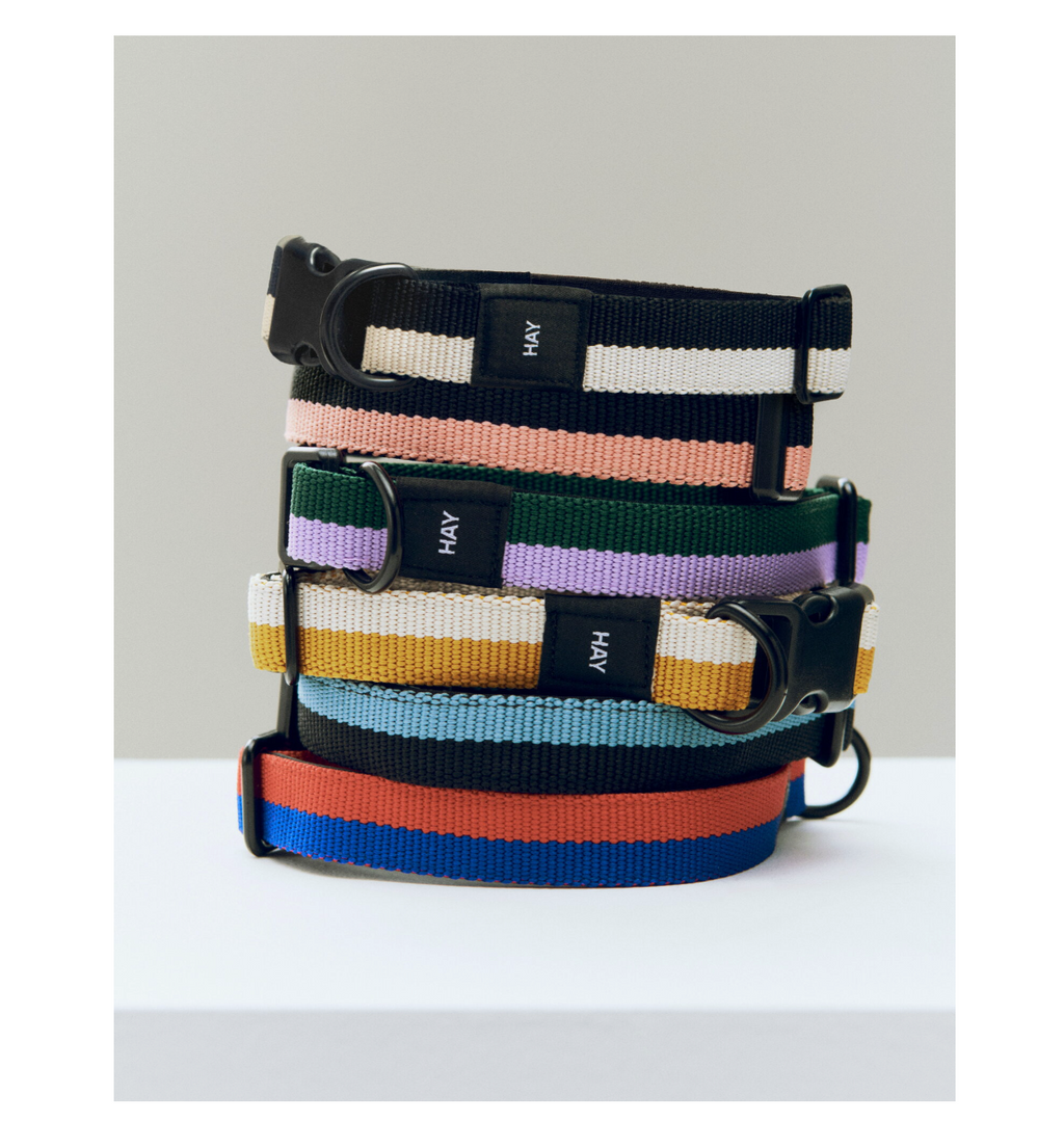 HAY Dog Collar Flat M/L
