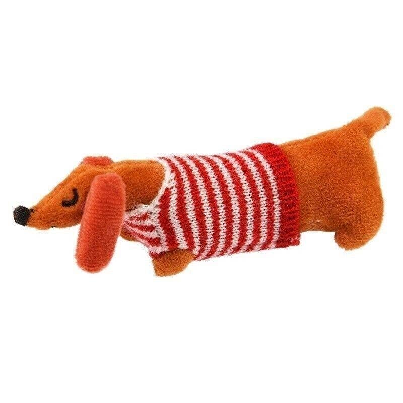 Mini Sausage Dog In A Little Box