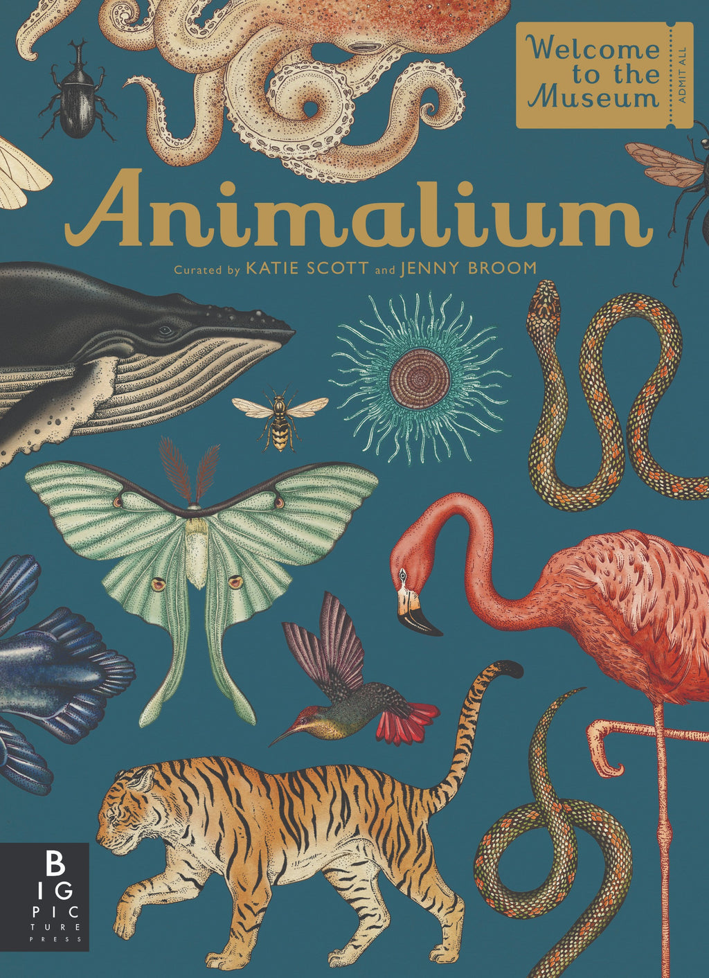 Animalium (WELCOME TO THE MUSEUM) (HB)