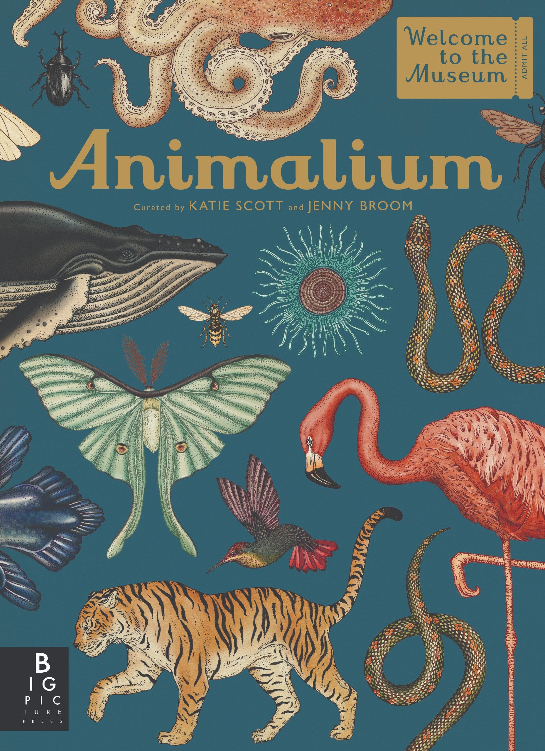 Animalium (WELCOME TO THE MUSEUM) (HB)