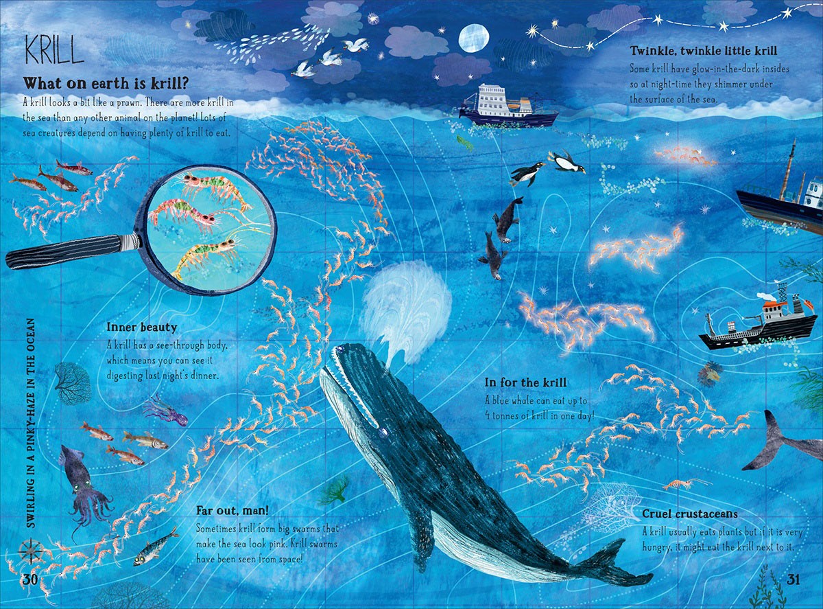BIG BOOK OF THE BLUE (HB)
