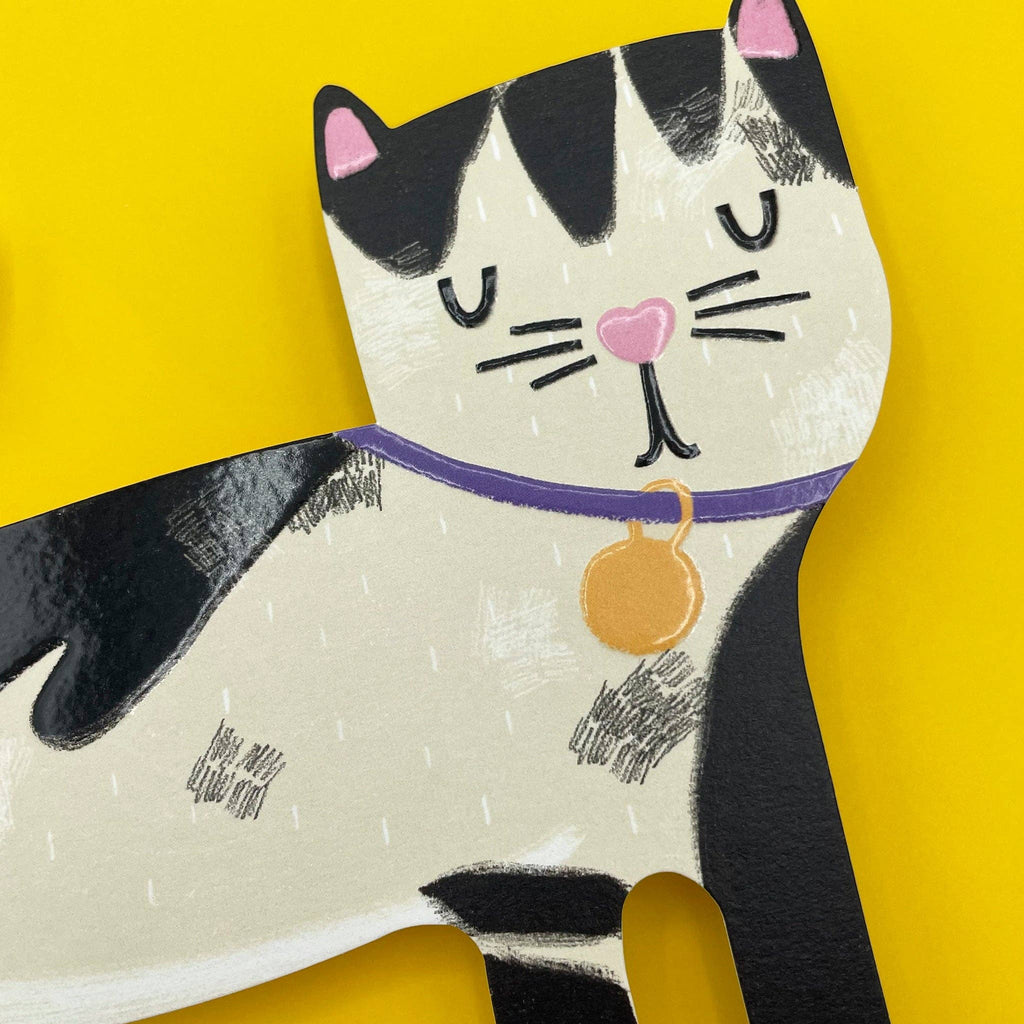 Black & White Cat Card