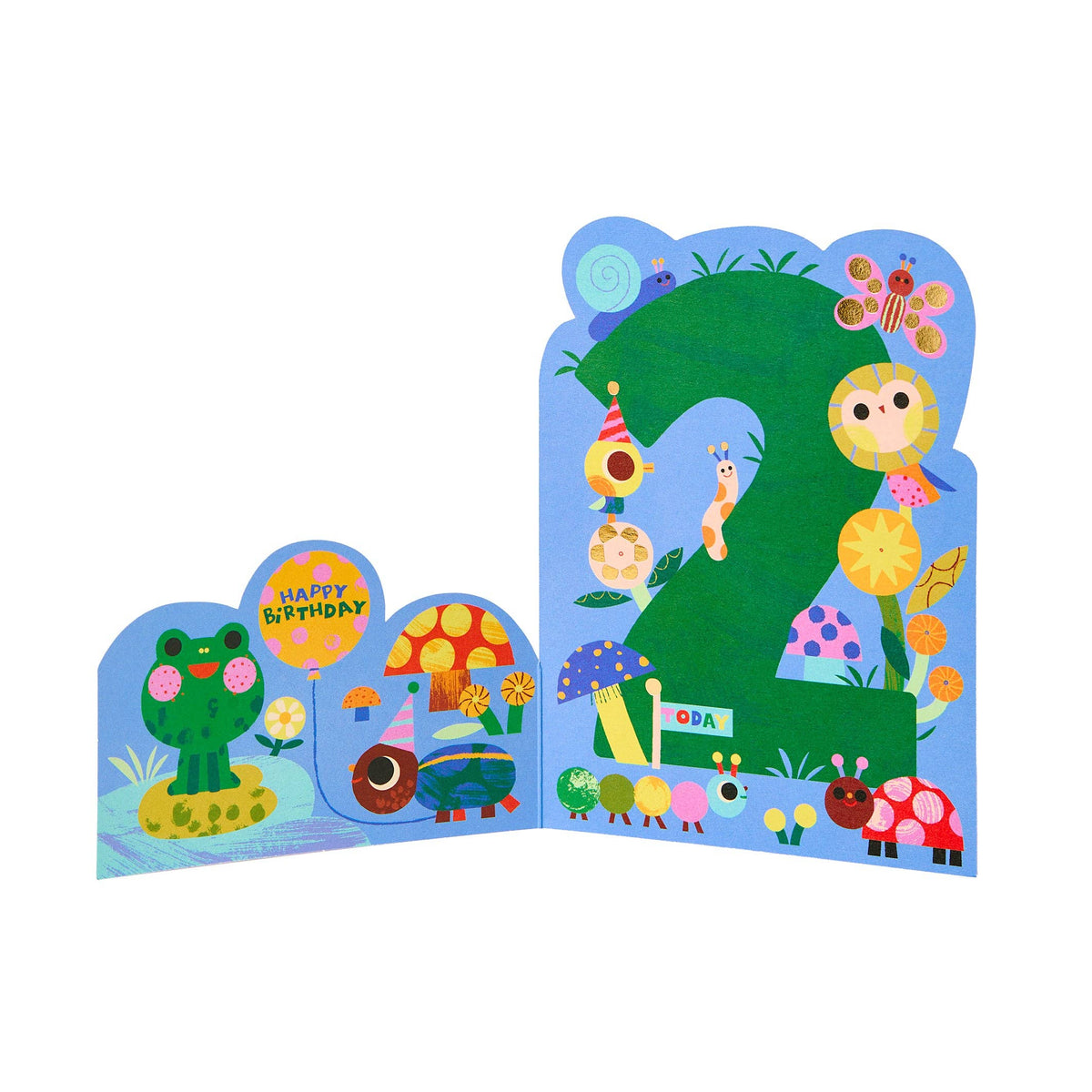 2 Today Happy Birthday - Have a hoot of a day