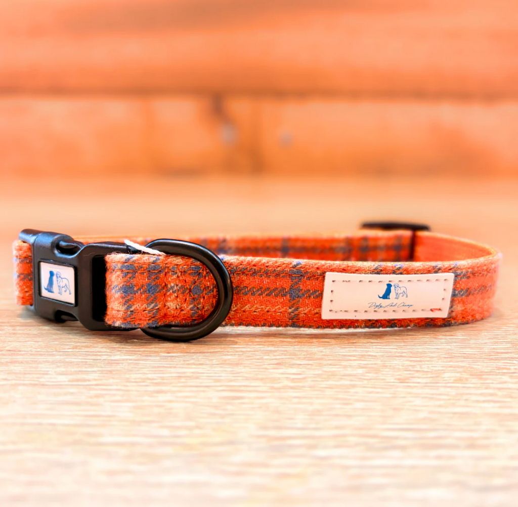Digby And Champ Orange Tartan Adjustable Dog Collar