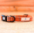 Digby And Champ Orange Tartan Adjustable Dog Collar