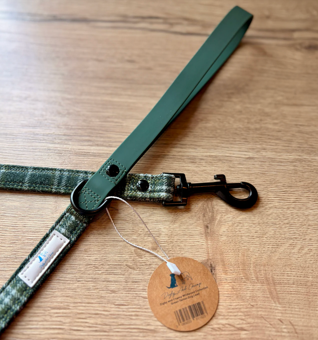 Digby And Champ Green Tartan Dog Lead