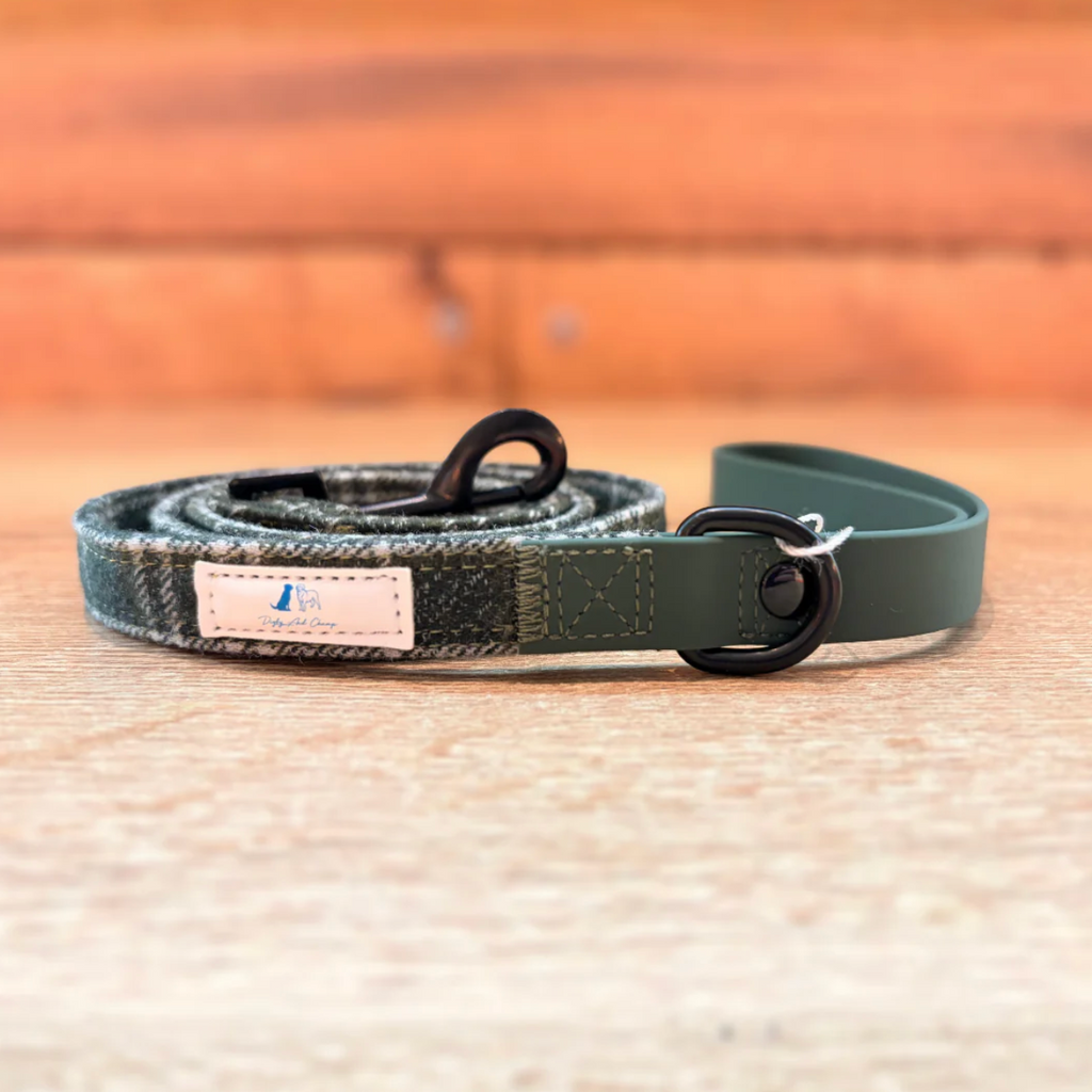Digby And Champ Green Tartan Dog Lead