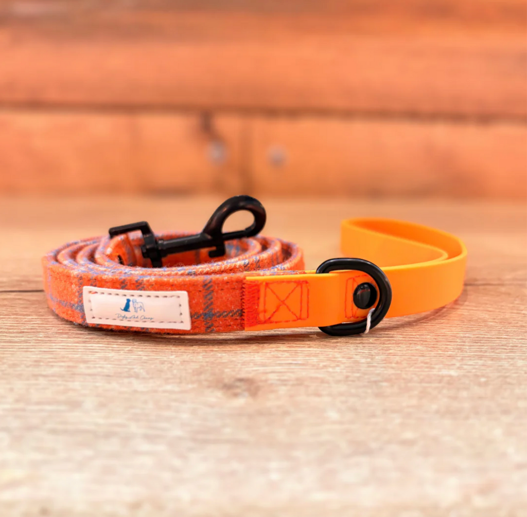 Digby And Champ Orange Tartan Dog Lead