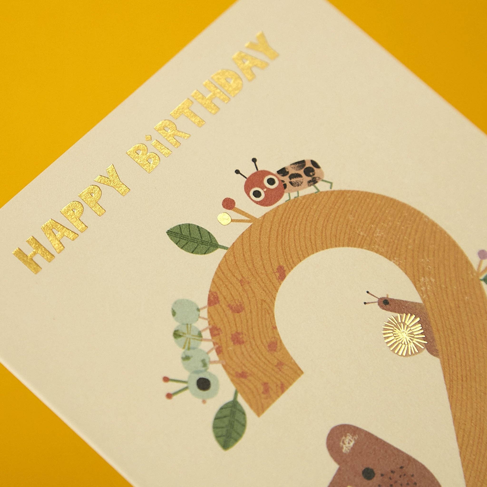 Age 2 - Bear woods