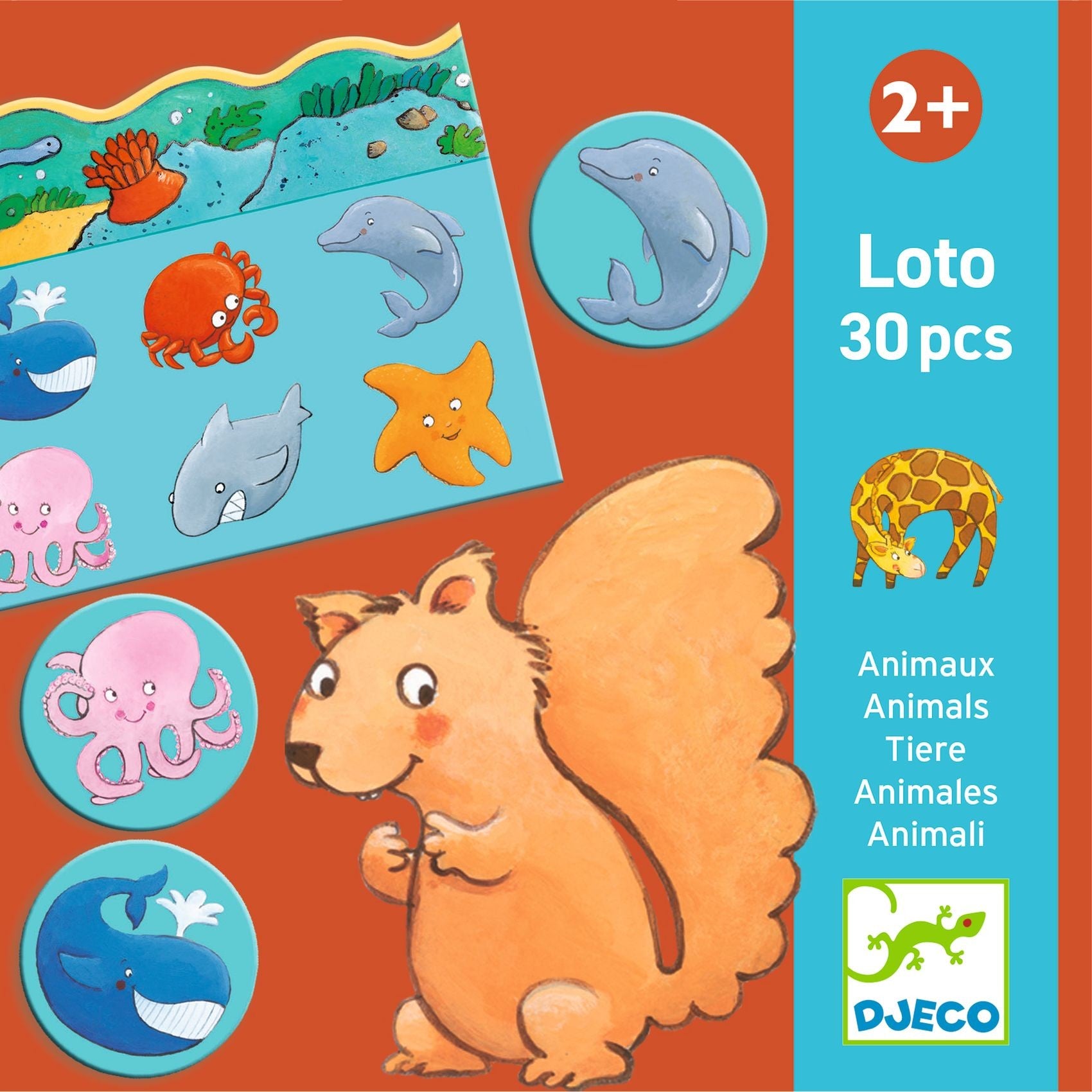 Djeco Animals Lotto