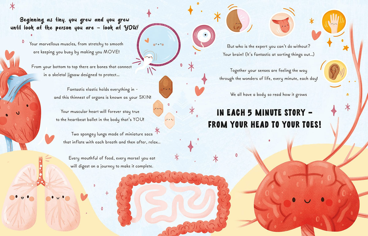 5 MINUTE HUMAN BODY STORIES (HB)