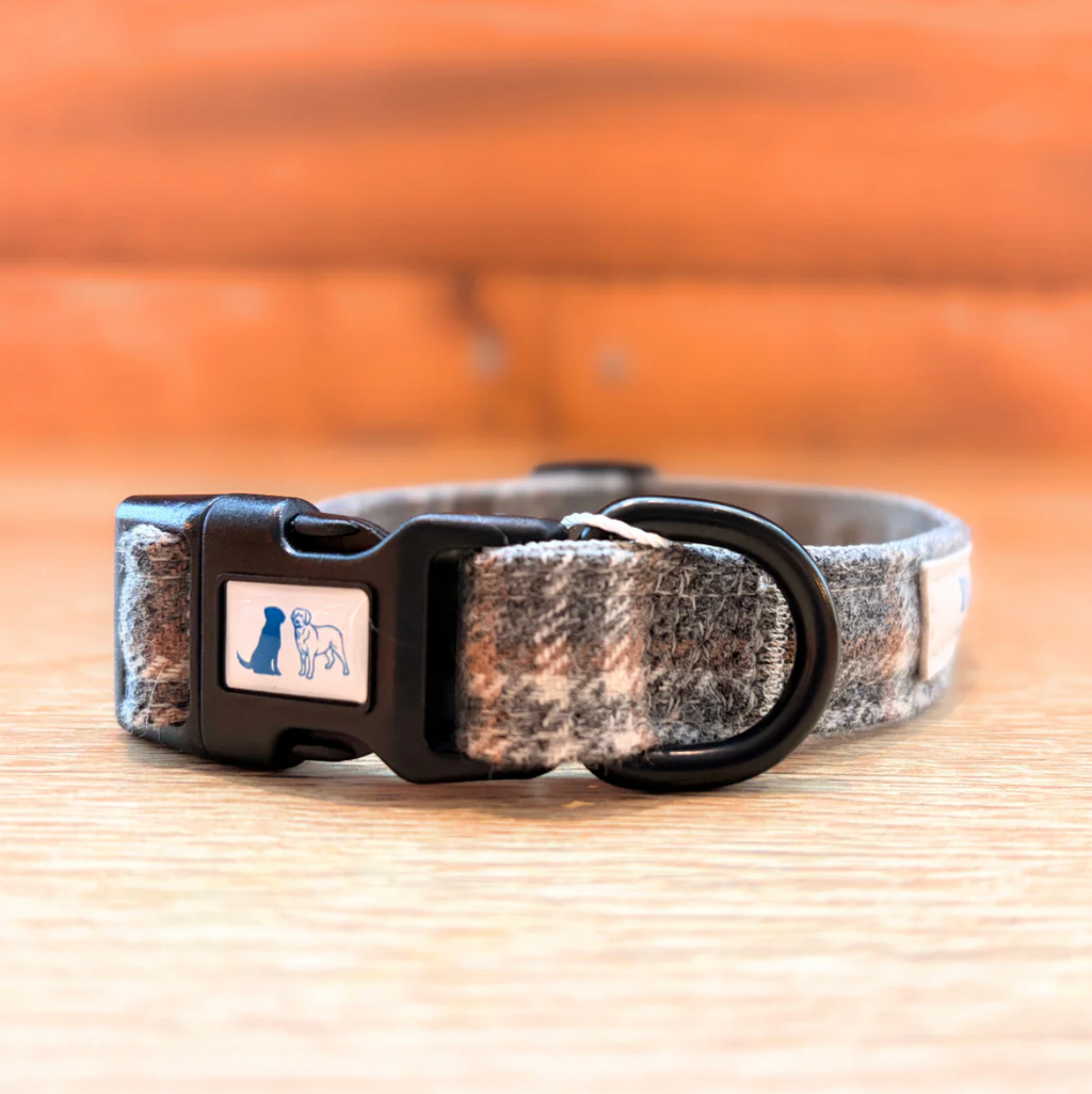 Digby And Champ Grey Tartan Adjustable Dog Collar