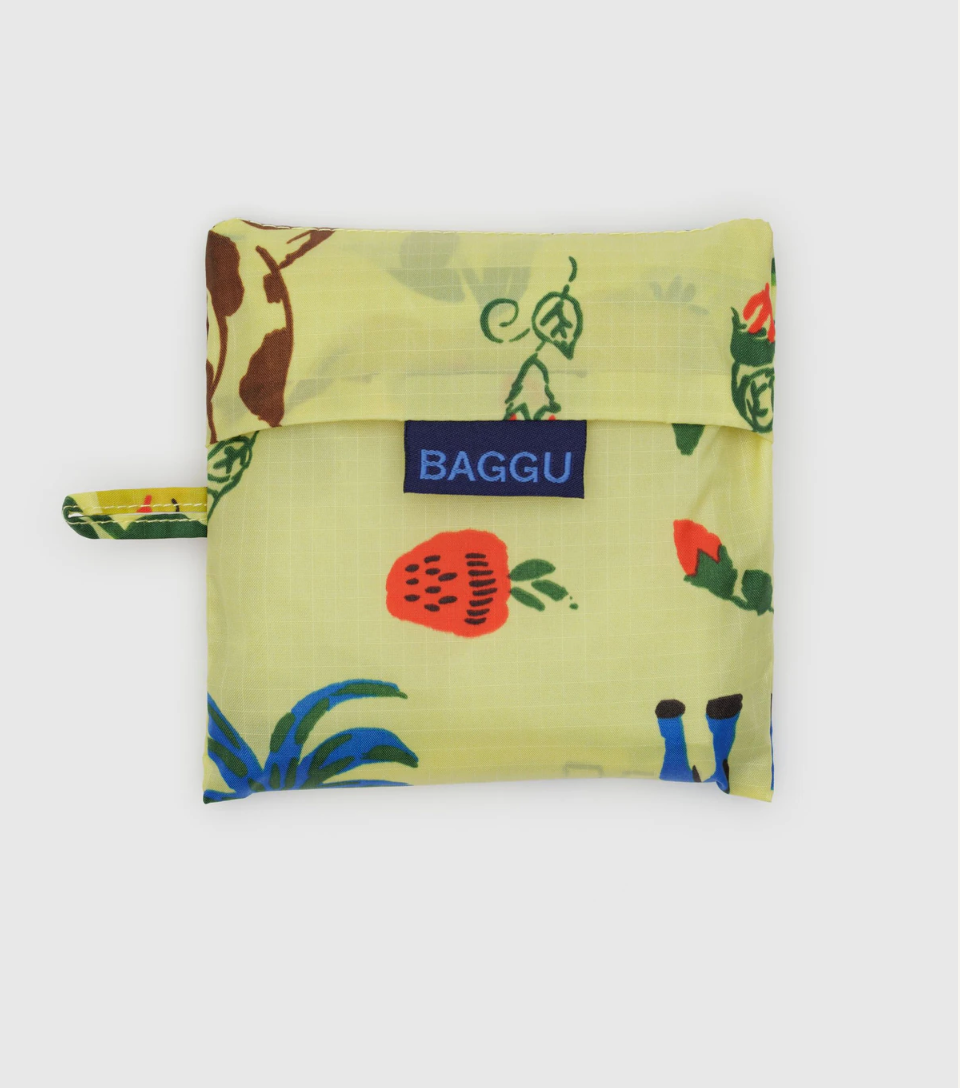 Baggu Reusable Bag Standard Size - Painted Prairie