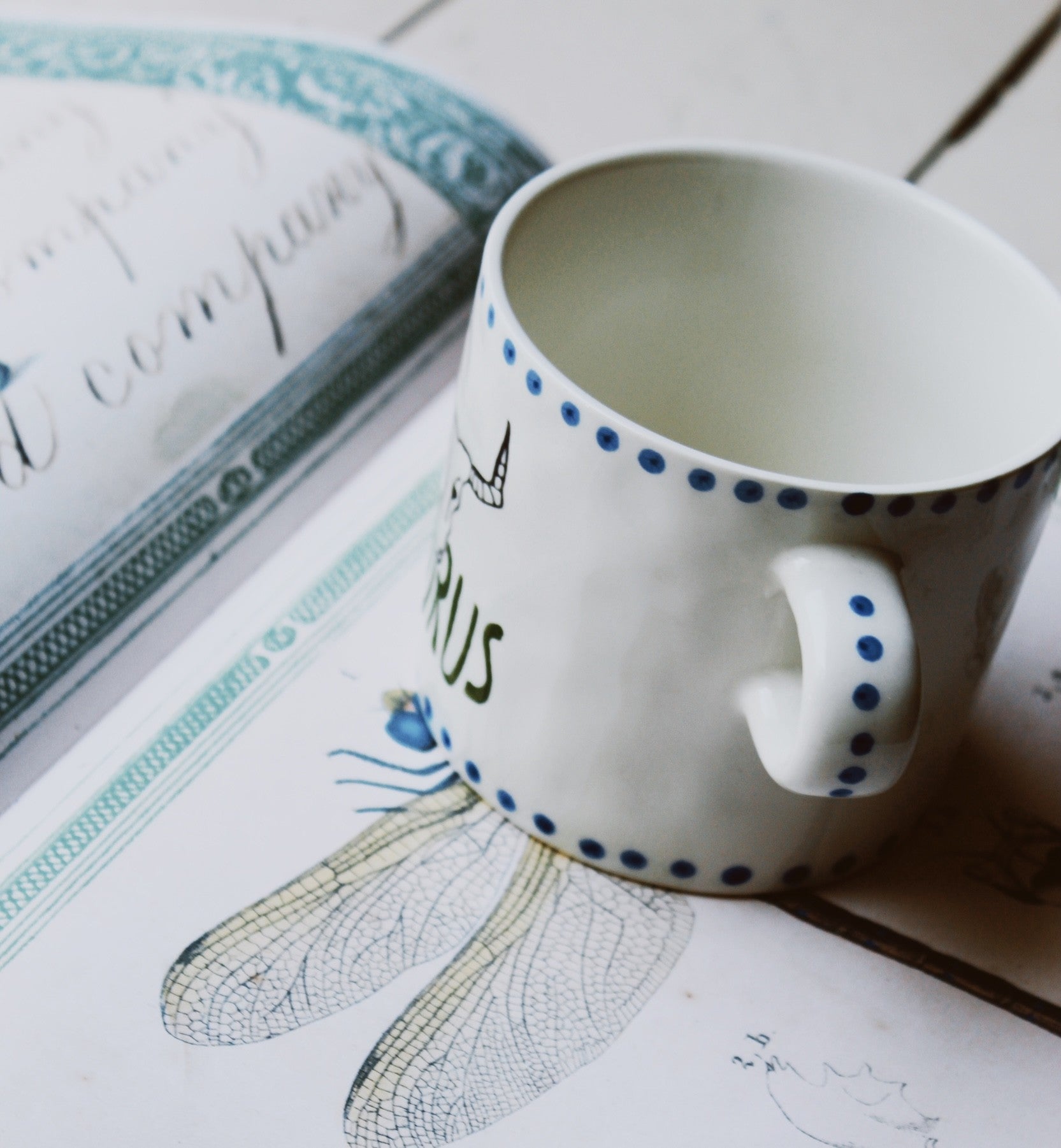 Anna+Nina Zodiac Mugs