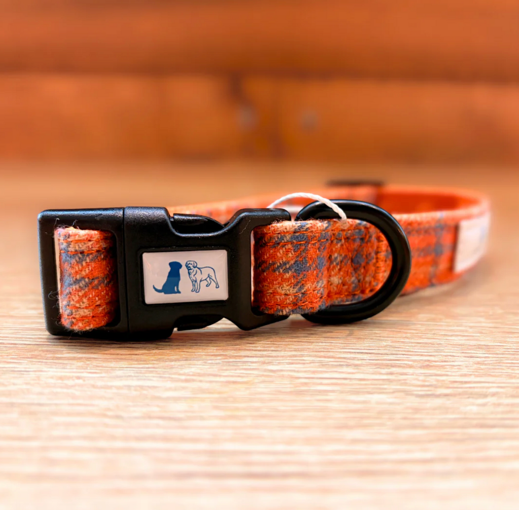 Digby And Champ Orange Tartan Adjustable Dog Collar