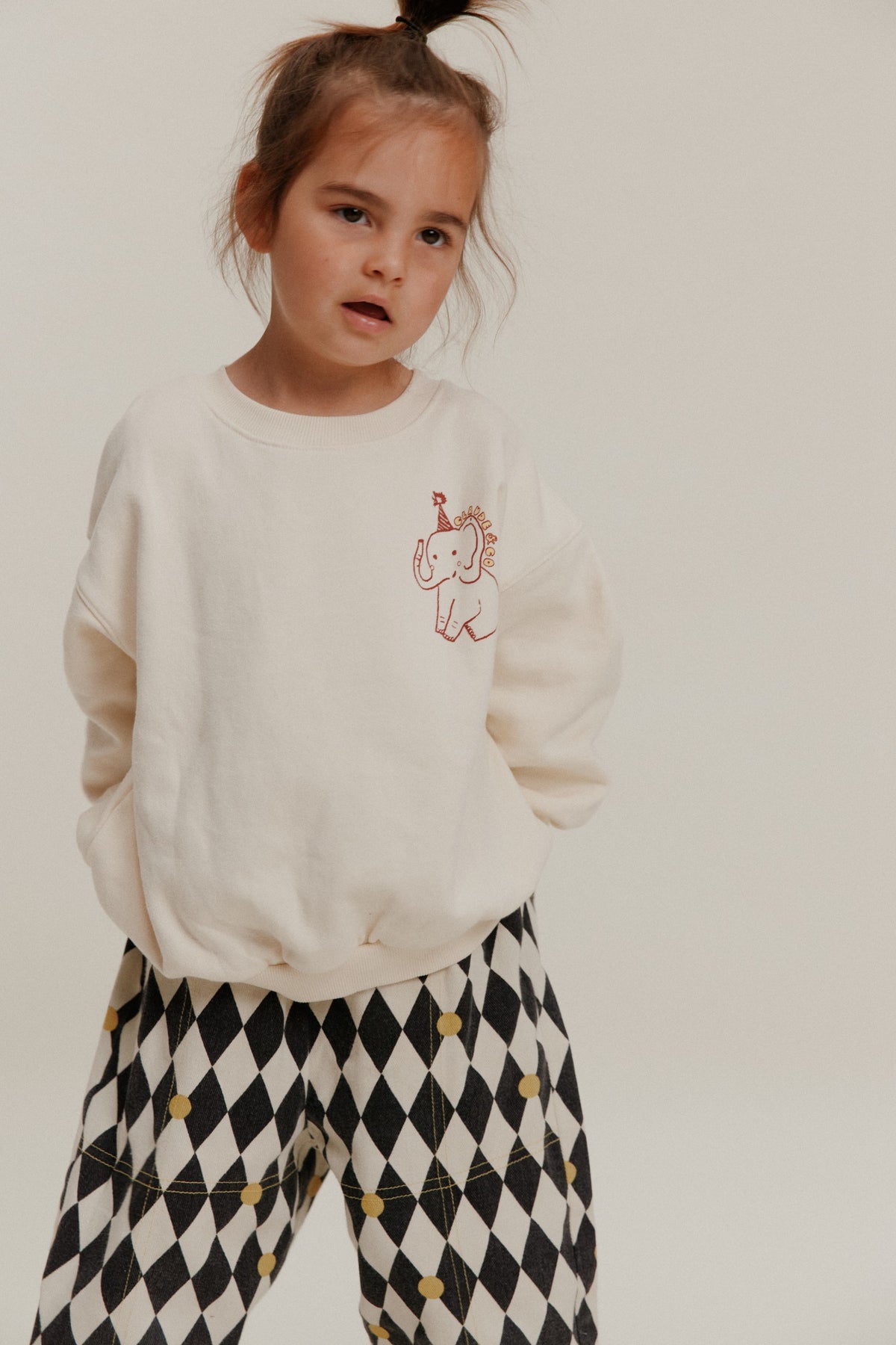 Claude & Co Carner Claude's Curiosities Sweater