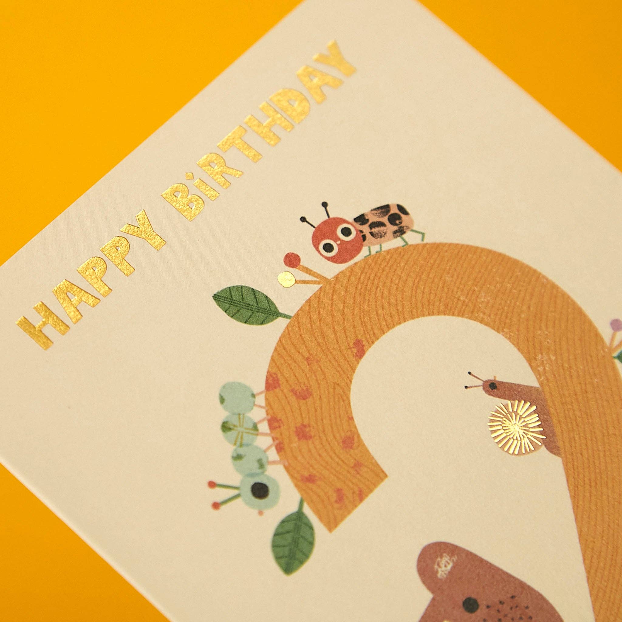 Age 2 - Bear woods